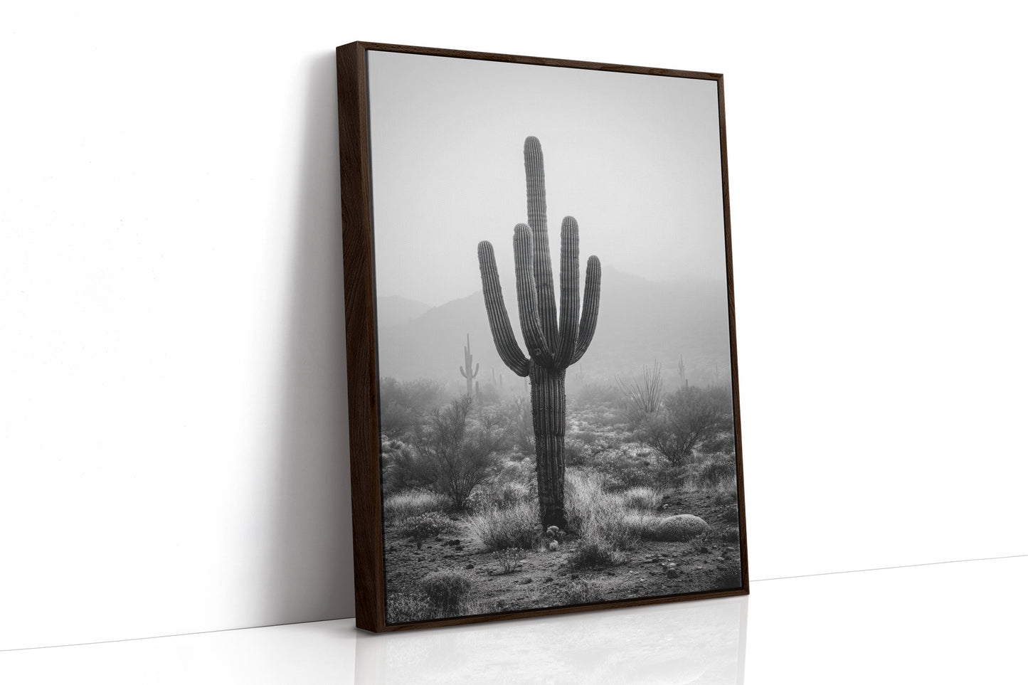 Cactus Standing Against The Mist
