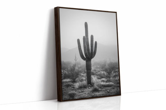 Cactus Standing Against The Mist