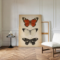 Flight Through Timeless Patterns