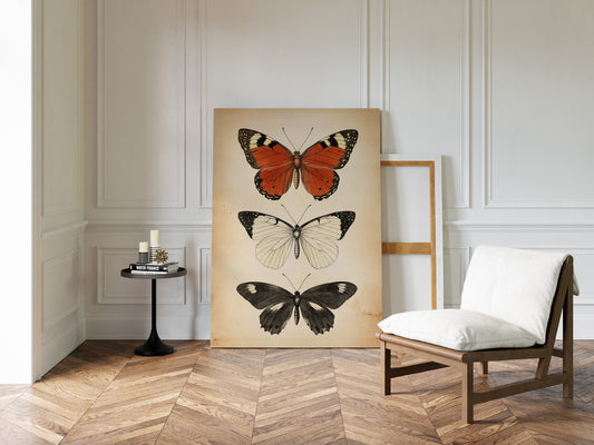 Flight Through Timeless Patterns