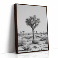 Guardians of the Arid Horizon