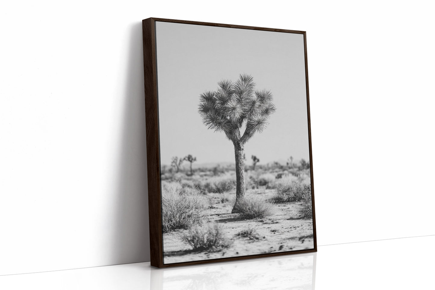 Guardians of the Arid Horizon
