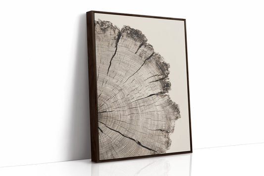 Chronicles Etched in Grain