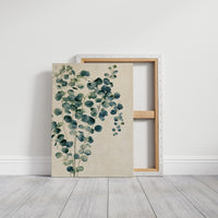 Silver Dollar Eucalyptus Sprig
