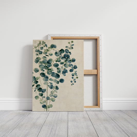 Silver Dollar Eucalyptus Sprig