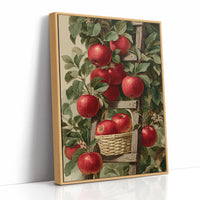Middle Rung: Basket Only Fits Two