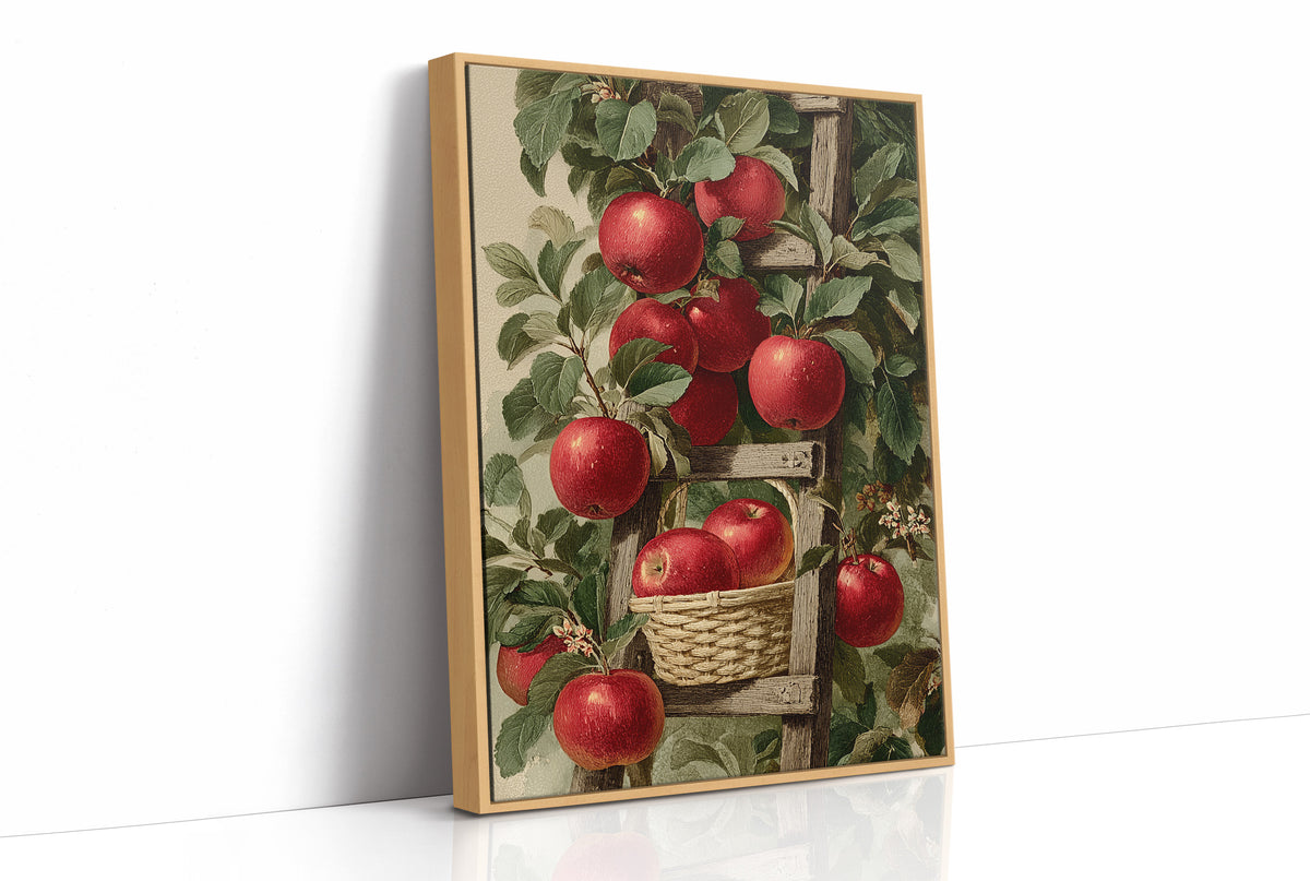 Middle Rung: Basket Only Fits Two