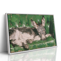 Green Velvet, Loud Snoring