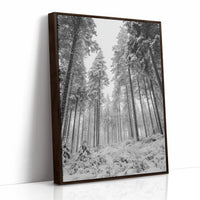 Beneath the Silent Canopy