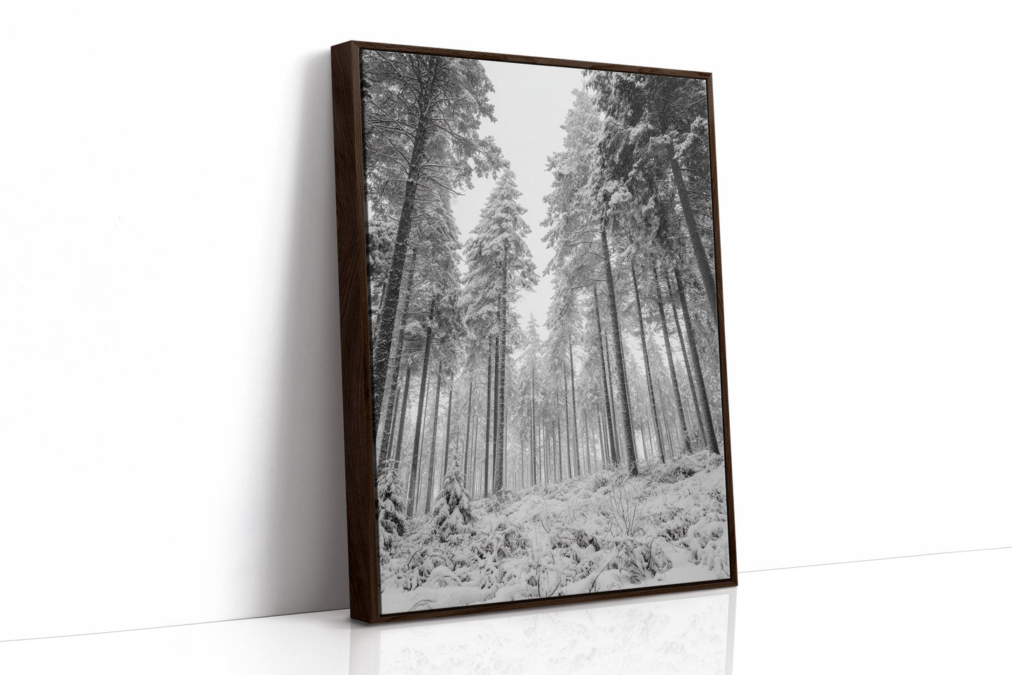 Beneath the Silent Canopy