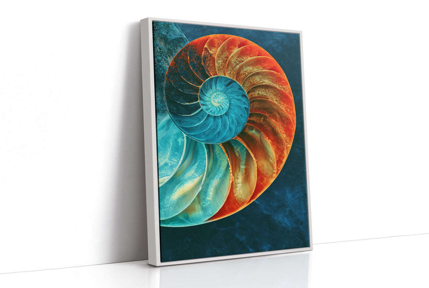 The Nautilus Divide