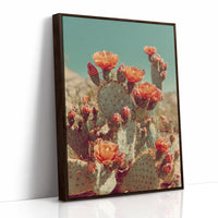 Desert Blooms in Radiant Sunlight