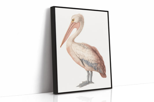 Beneath A Soft Feathered Gaze