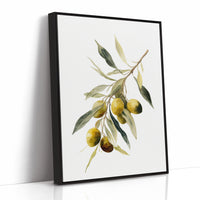 Harvested From Sunlit Groves