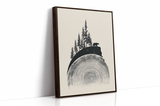 Where The Forest Meets Time