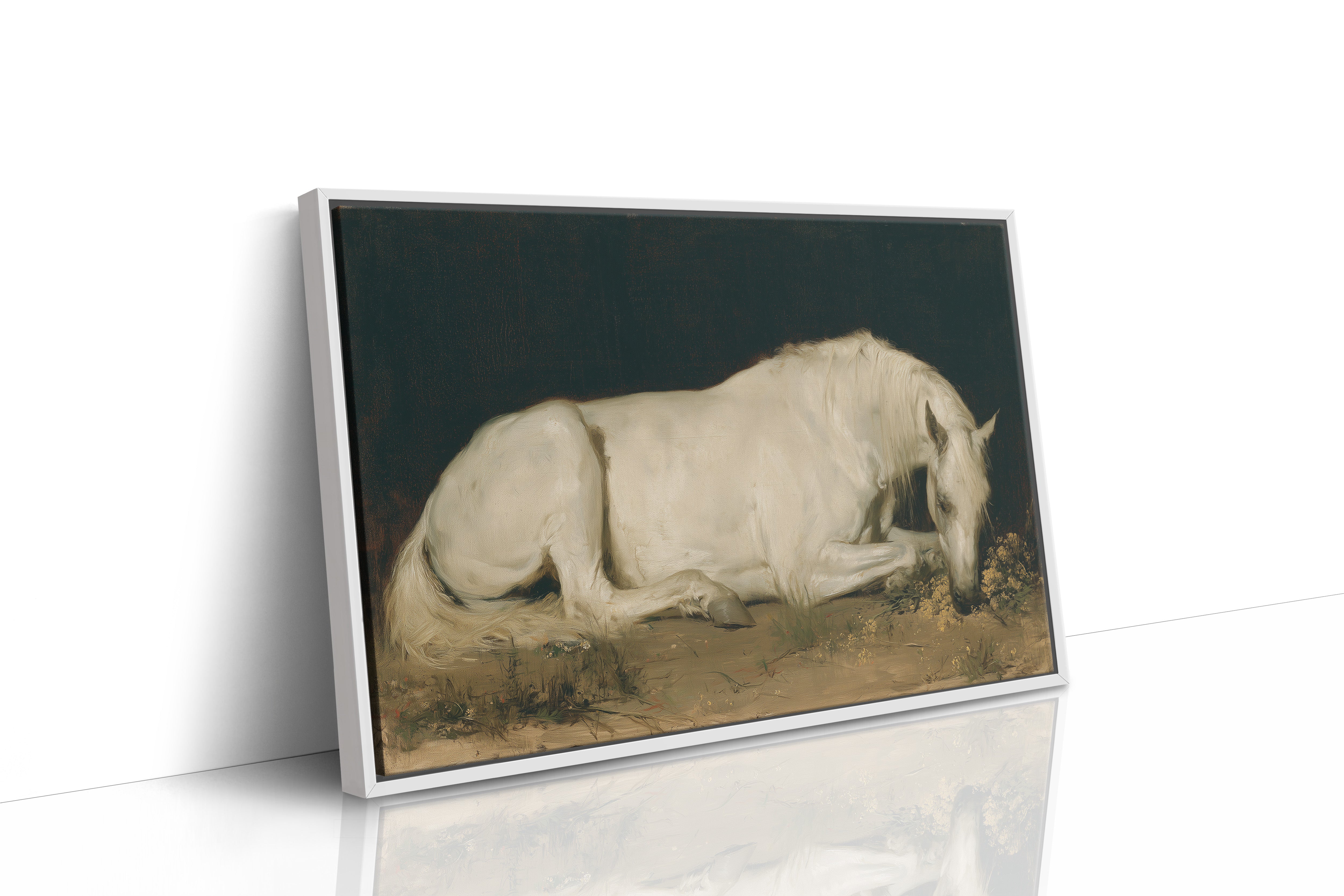 White Horse, Dark Ground