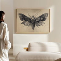 Moth's Lament Over Forgotten Tales