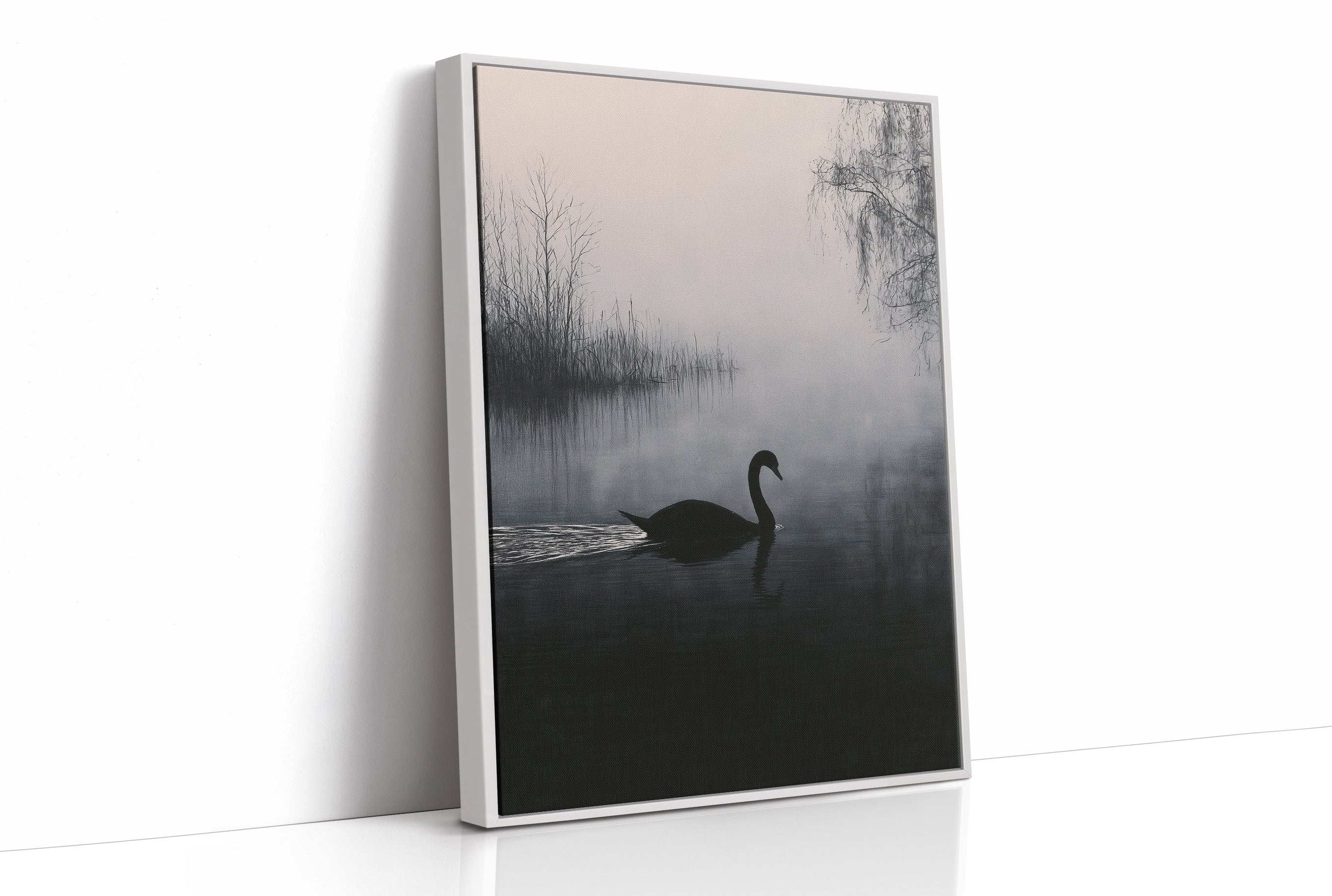 Black Swan on Silent Water