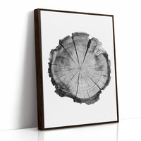 Textured Tree Ring Study