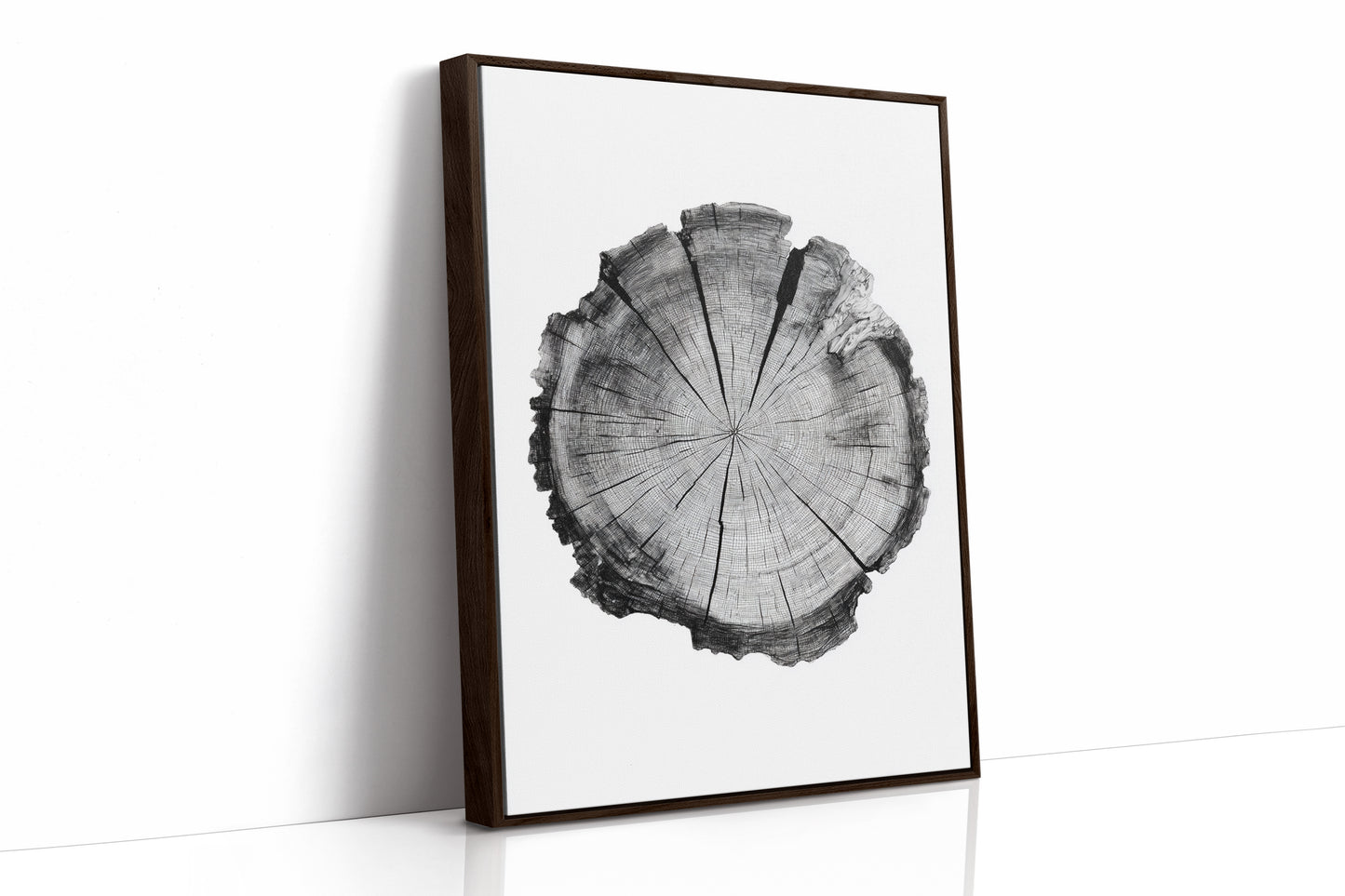 Textured Tree Ring Study