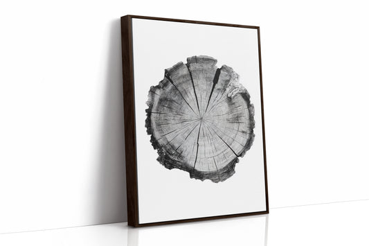 Textured Tree Ring Study