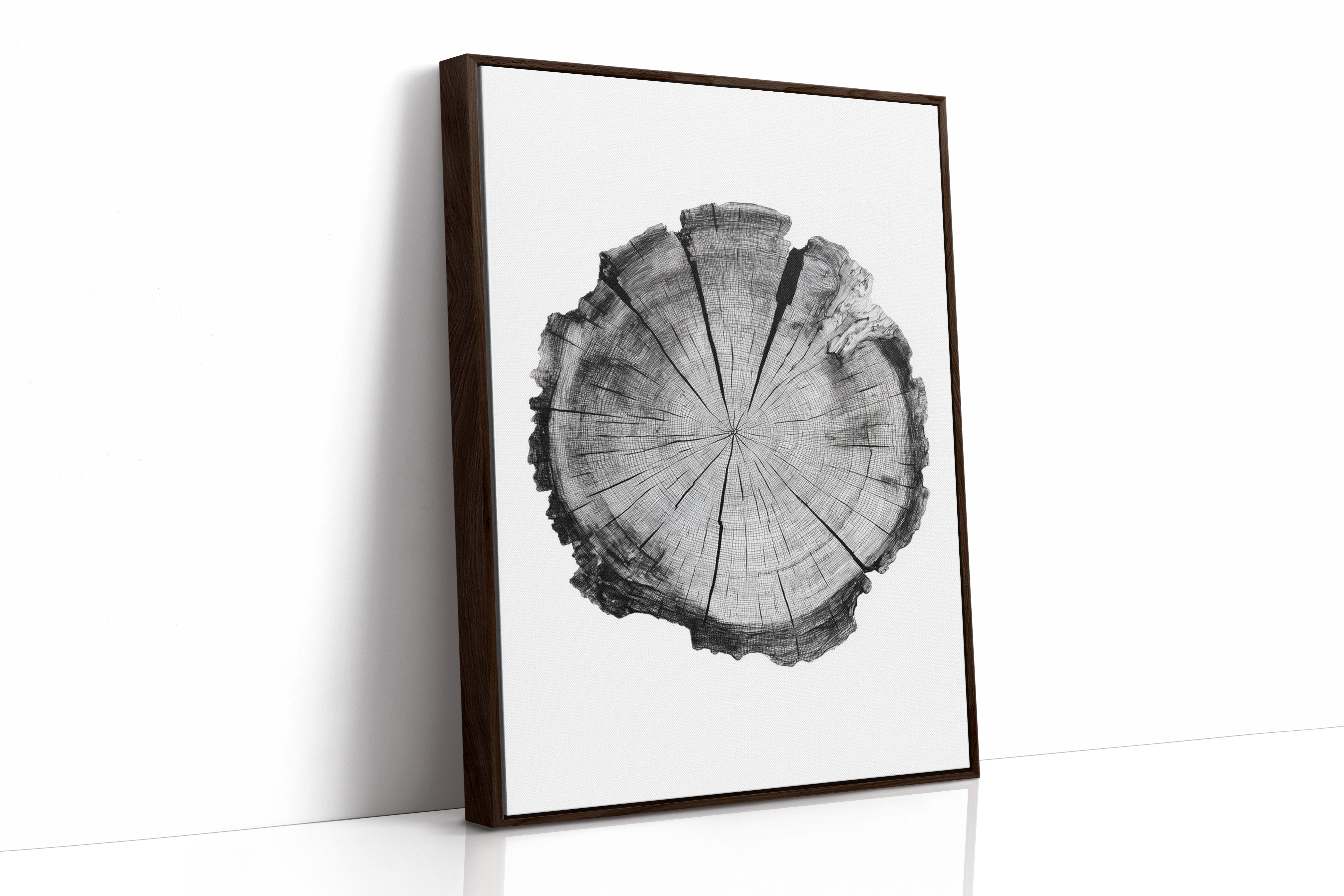 Textured Tree Ring Study