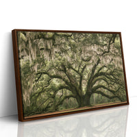 The Old Oak's Mossy Embrace