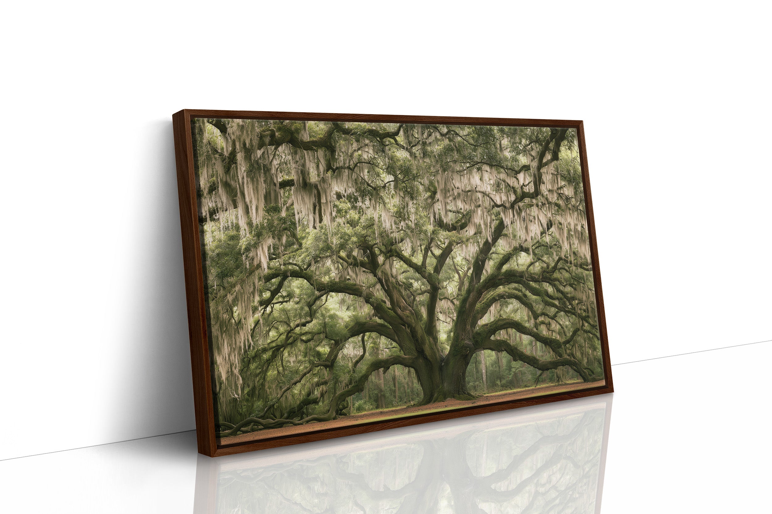 The Old Oak's Mossy Embrace