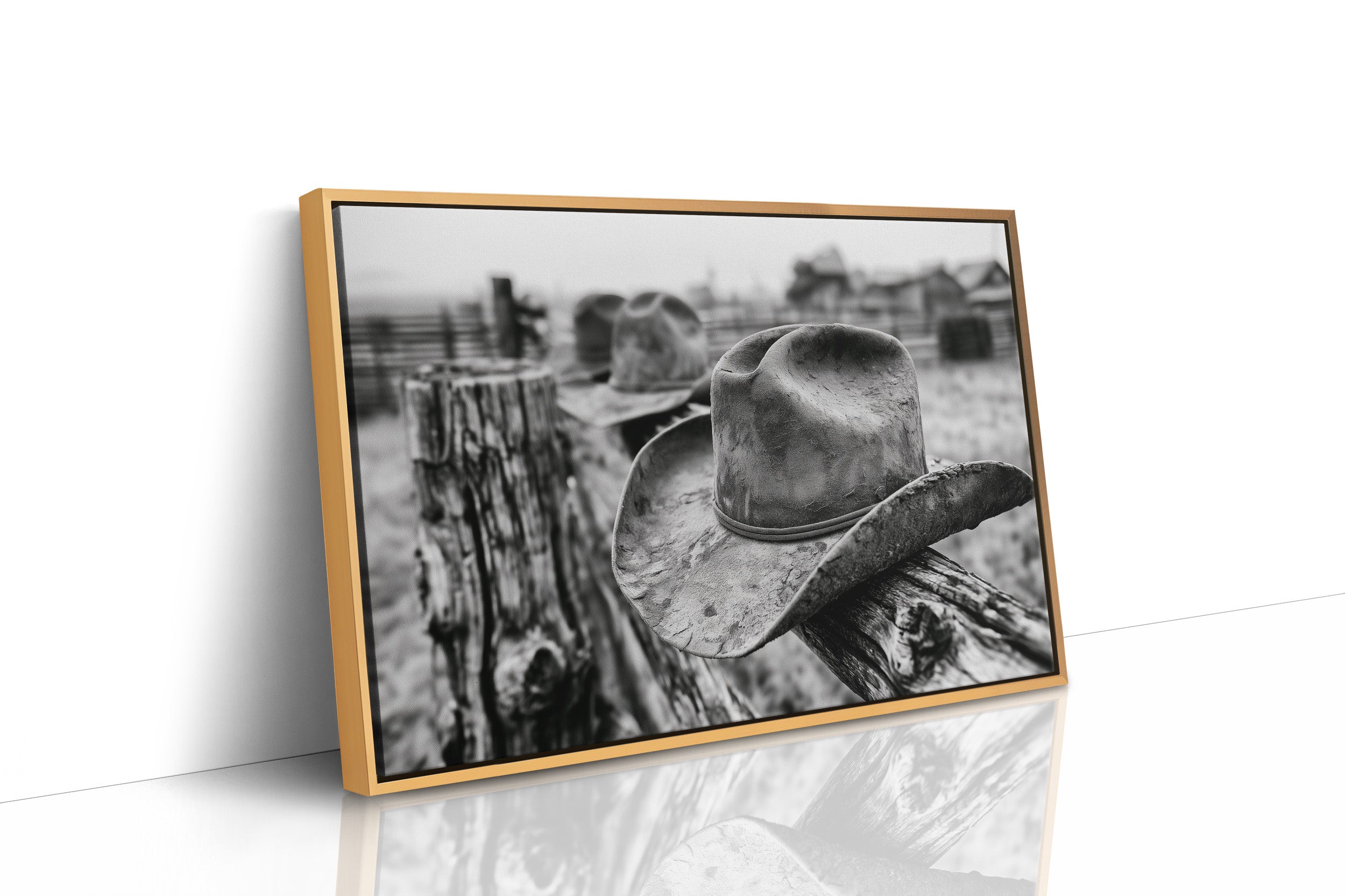 Weathered Hat on the Rail