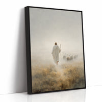 Guiding Light Through Misty Fields