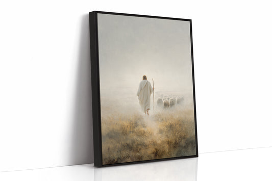 Guiding Light Through Misty Fields