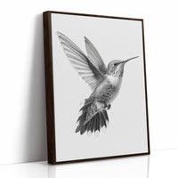 Graceful Hummingbird in Flight