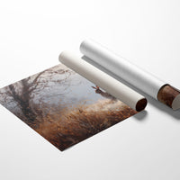 Rabbit Waits In Autumn Mist