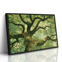 Beneath the Emerald Canopy