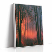 Forest Ablaze at Dusk