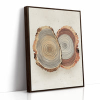 Intertwined Tree Rings
