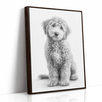 Curly Coat and Kind Eyes