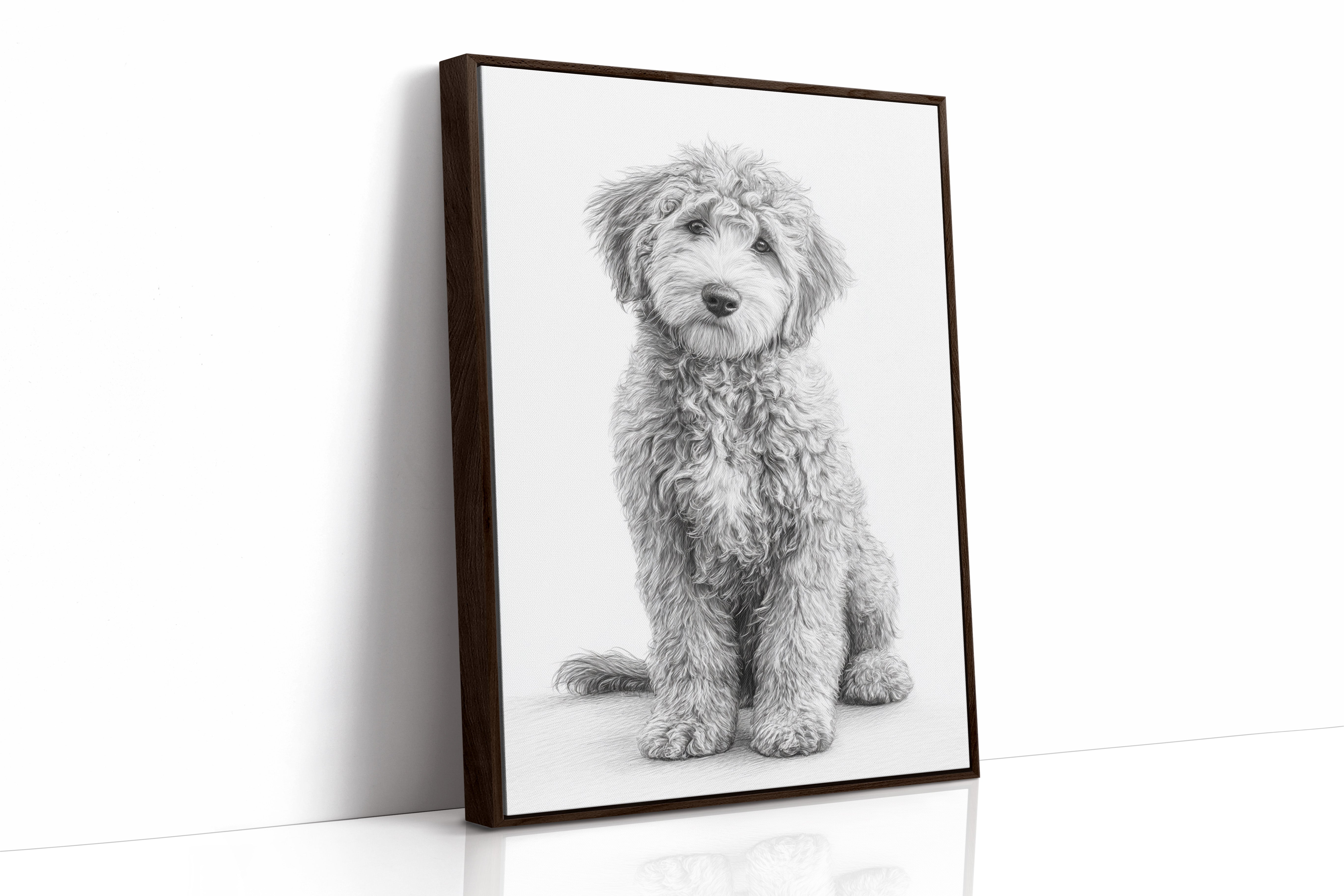 Curly Coat and Kind Eyes