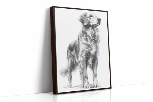 Noble Gaze of Loyalty