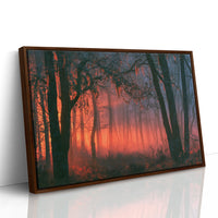 Forest Aglow In The Mist