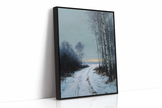 Pathway Through Winter's Embrace