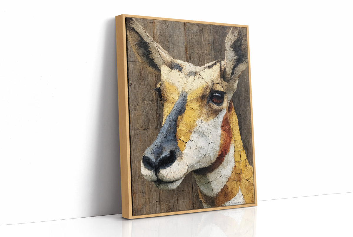 Where the Antelope Judge