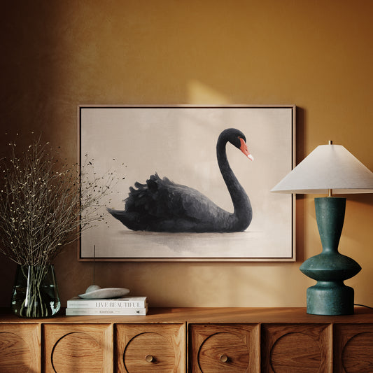 Black Swan Glides Through Blush Dawn