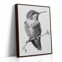 The Stillness of Feathered Grace