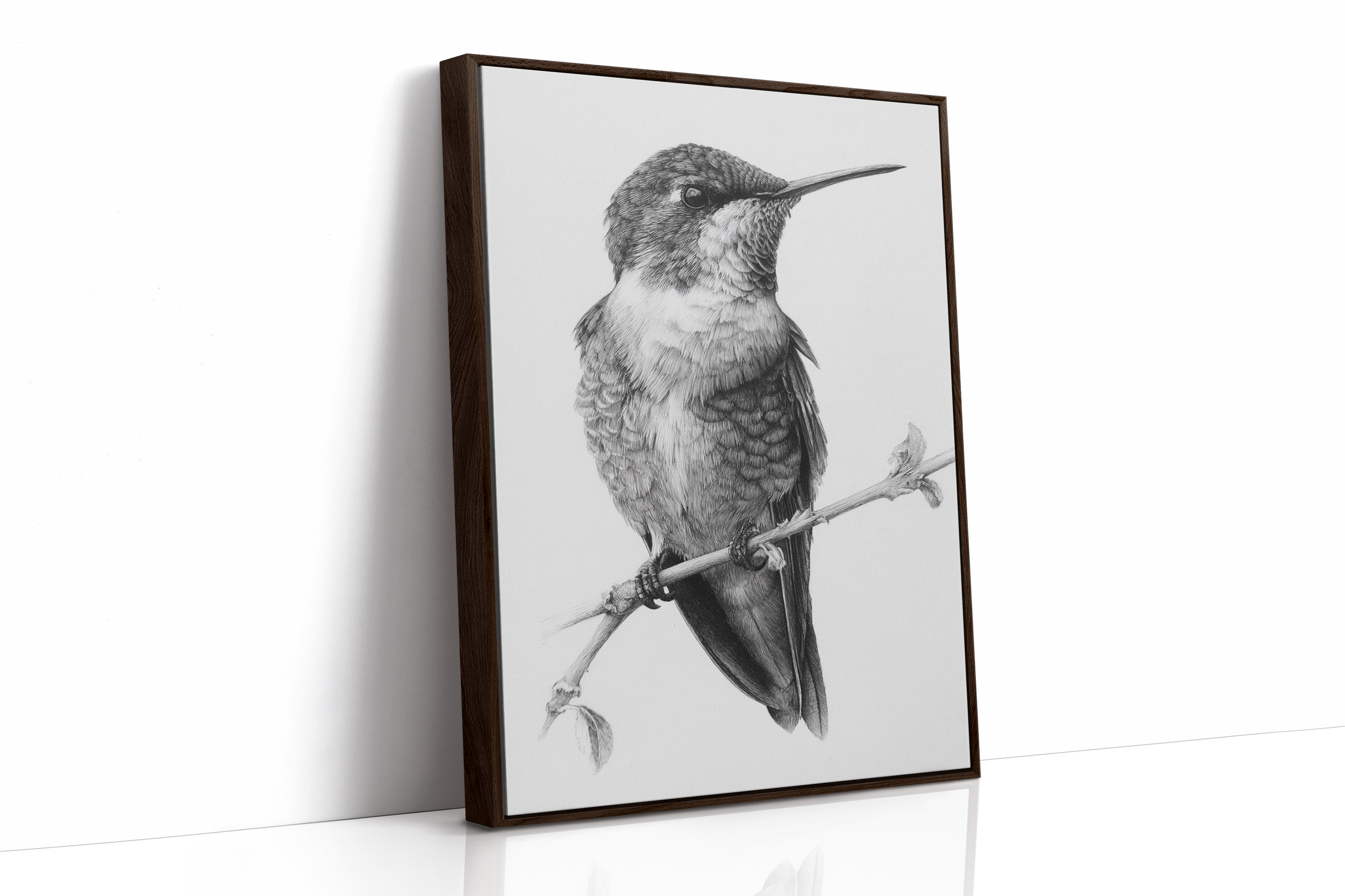 The Stillness of Feathered Grace