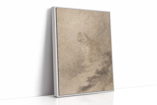 Quiet Corners Collect Morning Stories