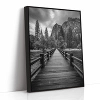 Journey Through Timbered Paths