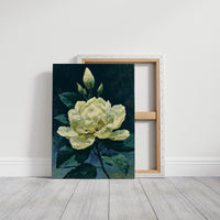 Ivory Bloom in Shadow