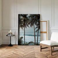 Tides Dance Beneath Tall Palms