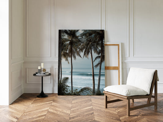 Tides Dance Beneath Tall Palms